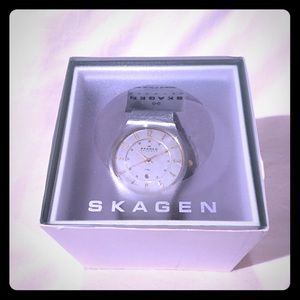 Skagen mesh chain watch